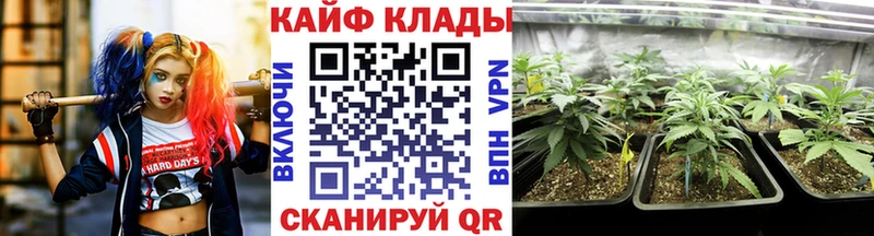 Где найти наркотики Чита A PVP Меф Бошки Шишки