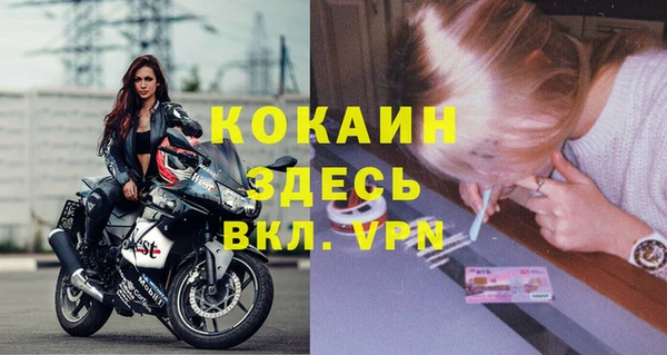 мяу мяу мука Абаза