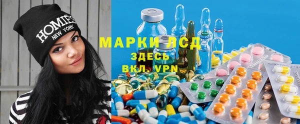 дживик Абинск