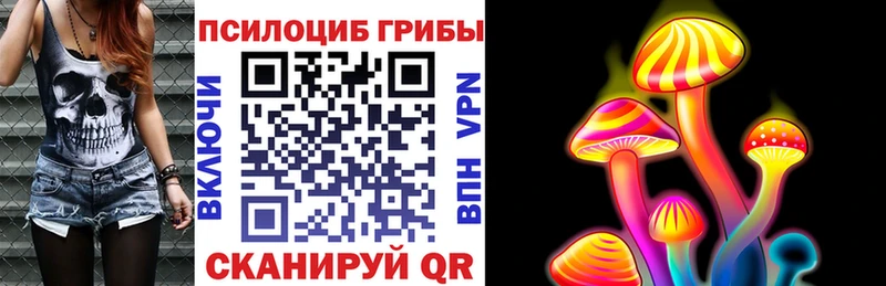 купить закладку  Чита  ссылка на мегу tor  Псилоцибиновые грибы Magic Shrooms 