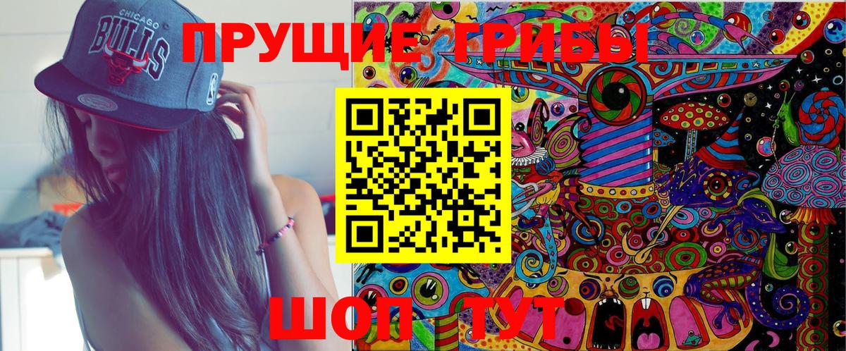Чита  Псилоцибиновые грибы GOLDEN TEACHER  Вход с VPN  Псилоцибиновые грибы ЛСД 