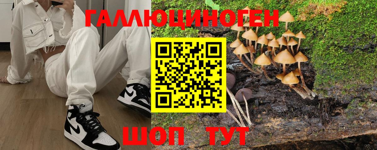 Галлюциногенные грибы мухоморы Чита