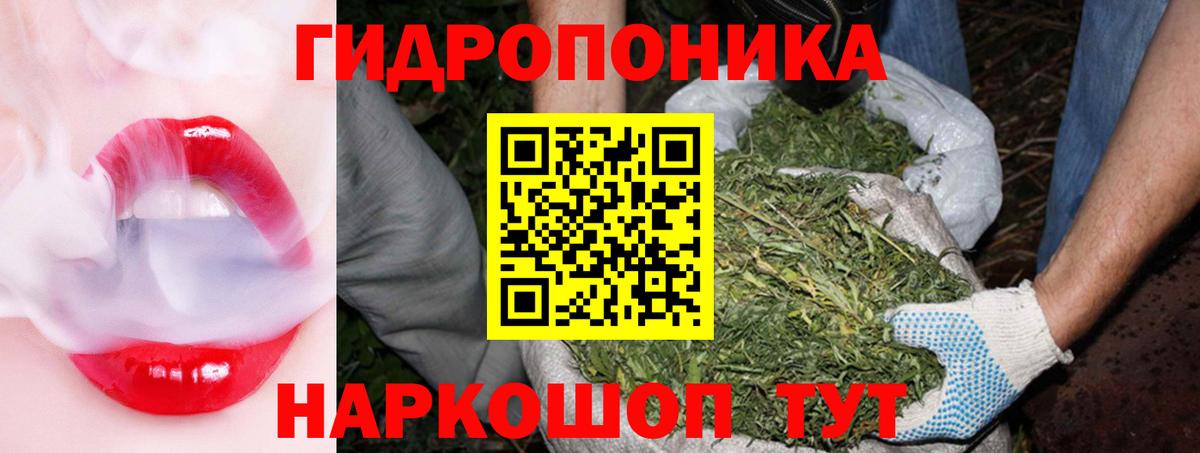 Бошки марихуана планчик Чита