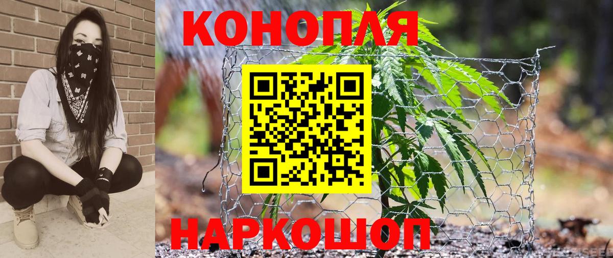 Канабис гибрид  Вход с VPN  Бошки марихуана LSD WEED  Чита  Марихуана White Widow 